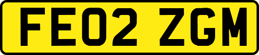 FE02ZGM