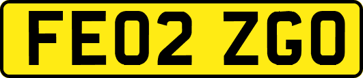 FE02ZGO