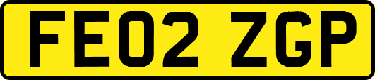 FE02ZGP