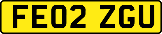 FE02ZGU