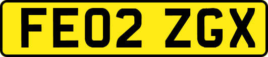 FE02ZGX