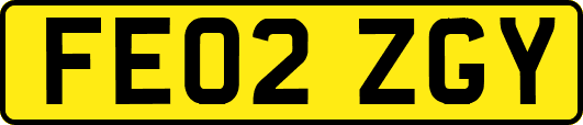 FE02ZGY