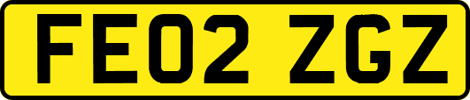 FE02ZGZ