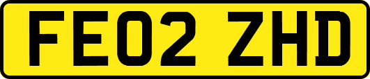 FE02ZHD