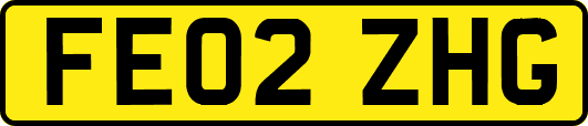 FE02ZHG