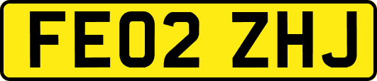 FE02ZHJ