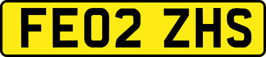 FE02ZHS