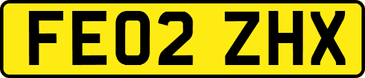 FE02ZHX