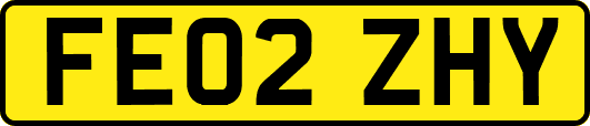 FE02ZHY
