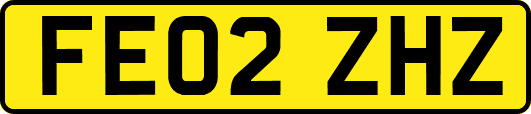 FE02ZHZ