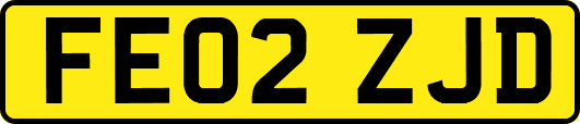 FE02ZJD