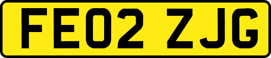 FE02ZJG