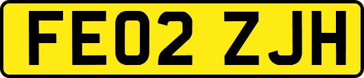 FE02ZJH