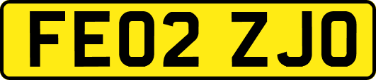 FE02ZJO