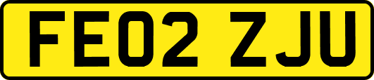 FE02ZJU