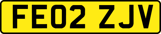 FE02ZJV