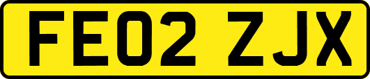 FE02ZJX