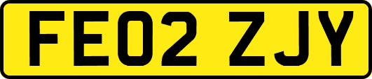 FE02ZJY