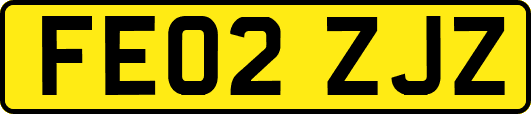 FE02ZJZ