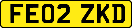 FE02ZKD
