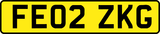 FE02ZKG
