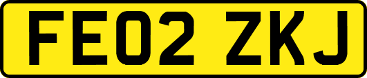 FE02ZKJ