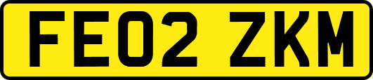 FE02ZKM