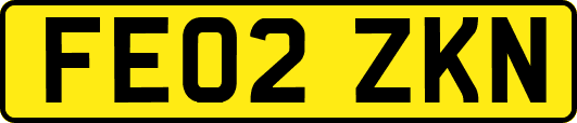 FE02ZKN