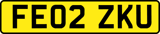 FE02ZKU