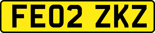 FE02ZKZ