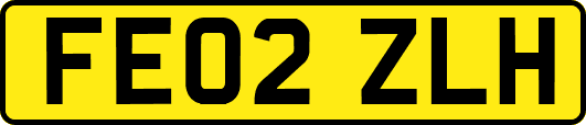 FE02ZLH