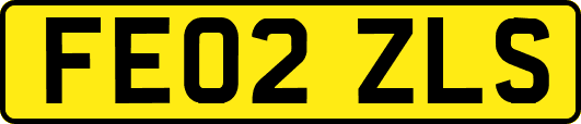FE02ZLS