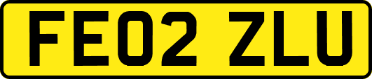 FE02ZLU