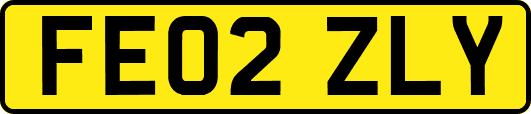 FE02ZLY