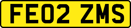 FE02ZMS