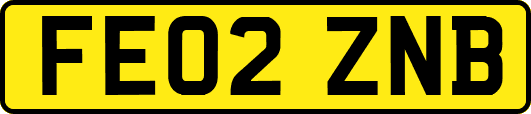 FE02ZNB