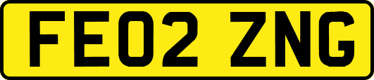 FE02ZNG