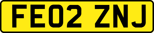 FE02ZNJ