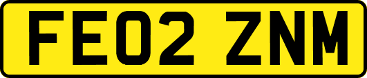 FE02ZNM