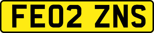 FE02ZNS