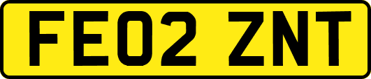 FE02ZNT