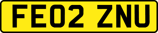 FE02ZNU