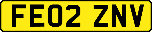 FE02ZNV