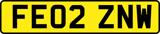 FE02ZNW