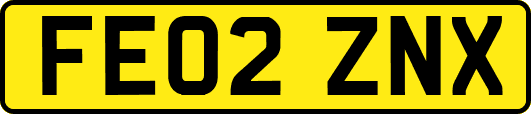 FE02ZNX