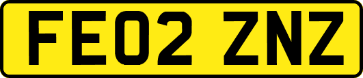 FE02ZNZ