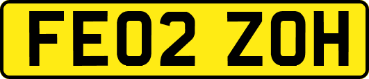 FE02ZOH