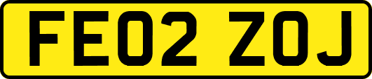 FE02ZOJ