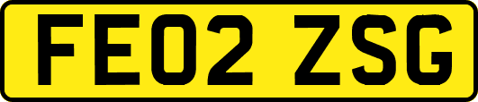 FE02ZSG