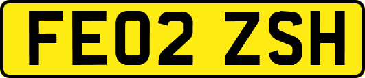 FE02ZSH